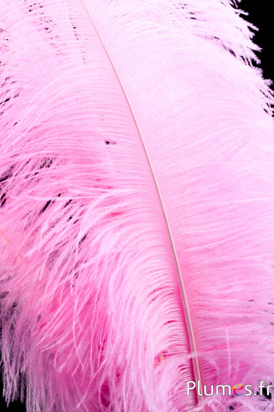 Autruche premium - 50-60 cm - rose tendre